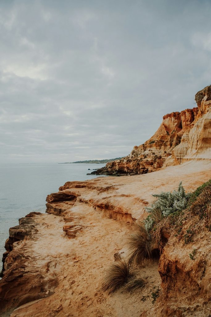 Guinevere Image 13 683x1024 1